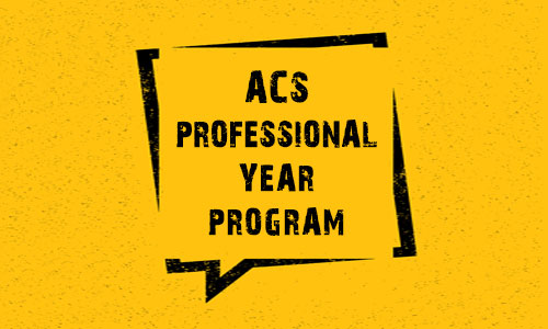 Australian Computer Society (ACS) Professional Year Program - Best migration agent in Australia